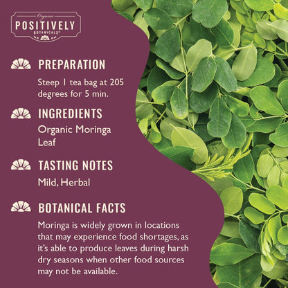 Organic Moringa Leaf - Botanical Tea Bags