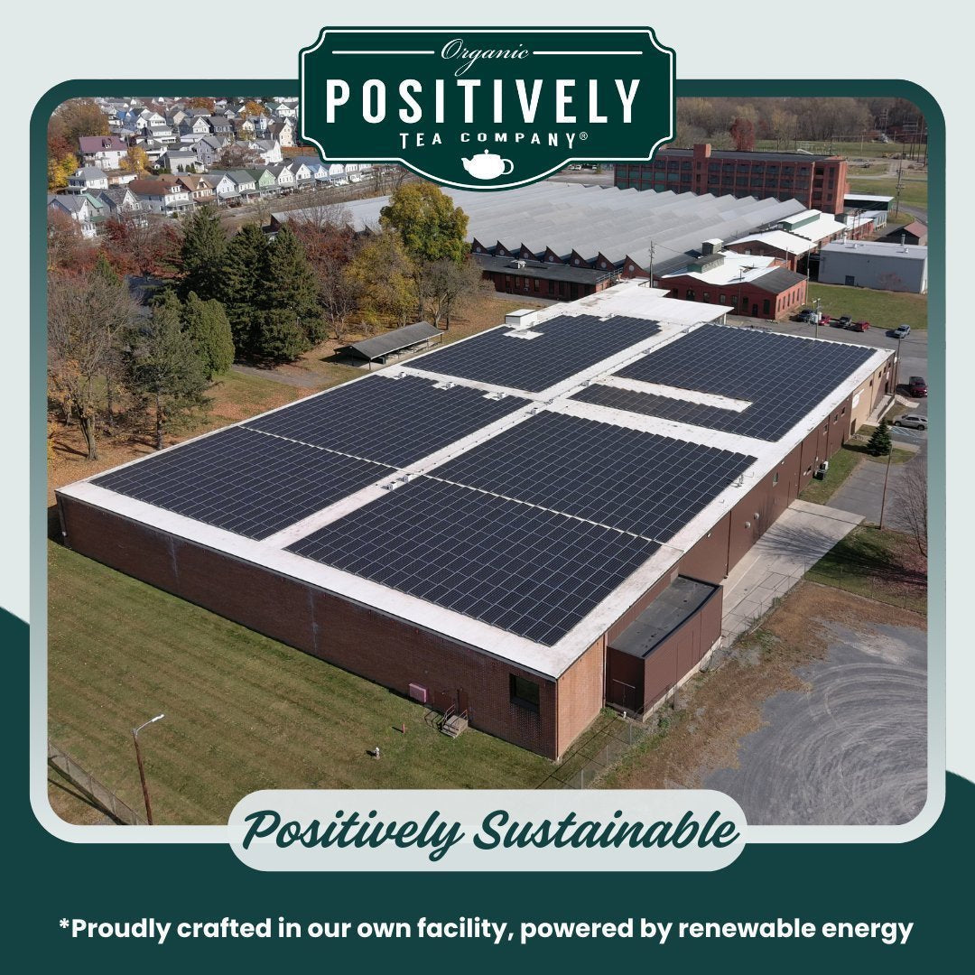 Organic Lemon Pound Cake Herbal - Tea Bags