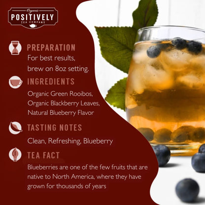 Organic Blueberry Bliss Rooibos - Classic Tea Pods